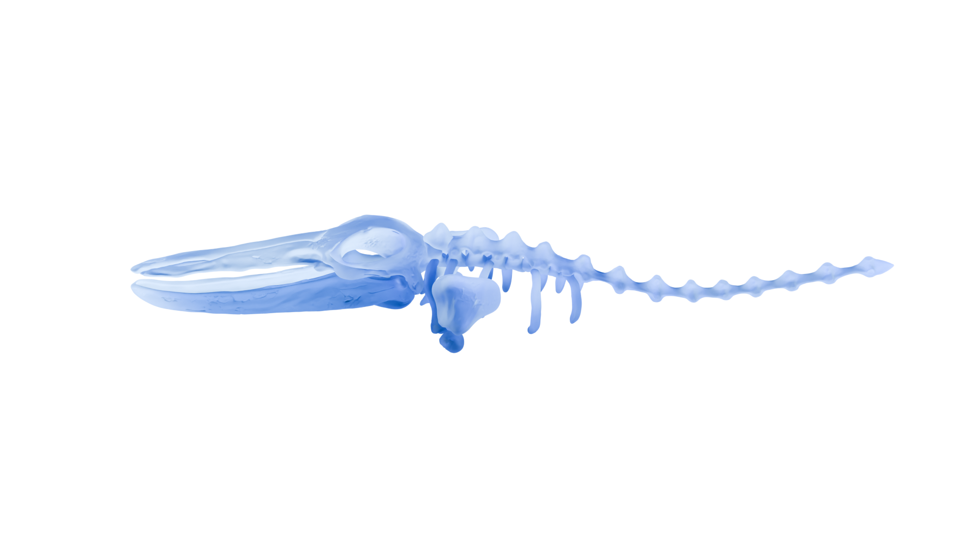OSSIUM의 3D 골격 로고 오브제